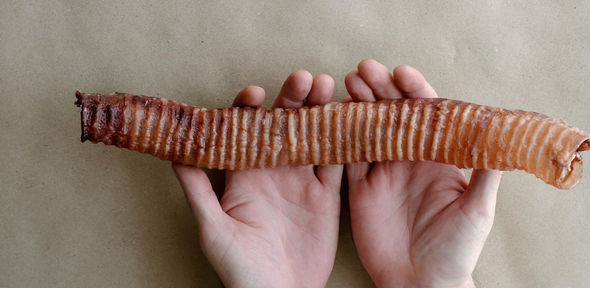 Beef trachea top dog chews safe