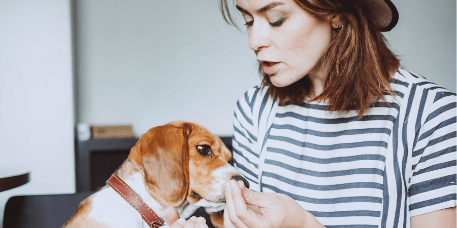 Homemade dog treats made with ground beef best sale