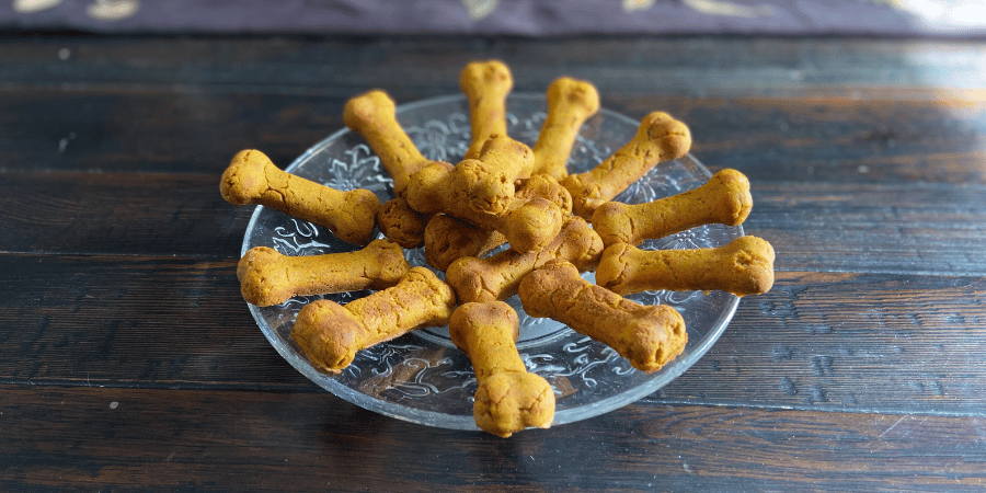 Homemade Dog Treats Pumpkin Oatmeal