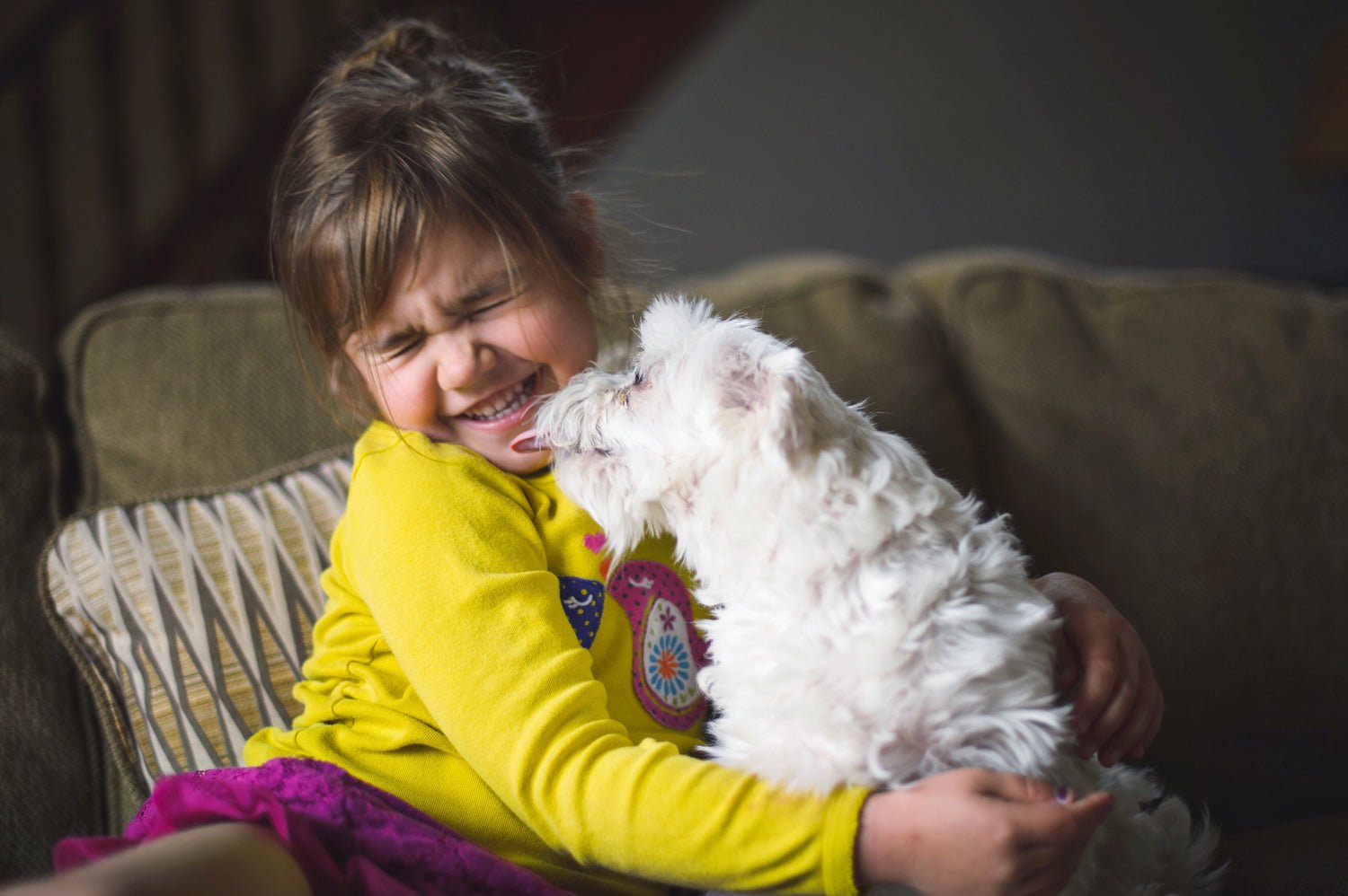 Introducing Your Kids To Their First Dog - New Dog Introductions To Toddlers