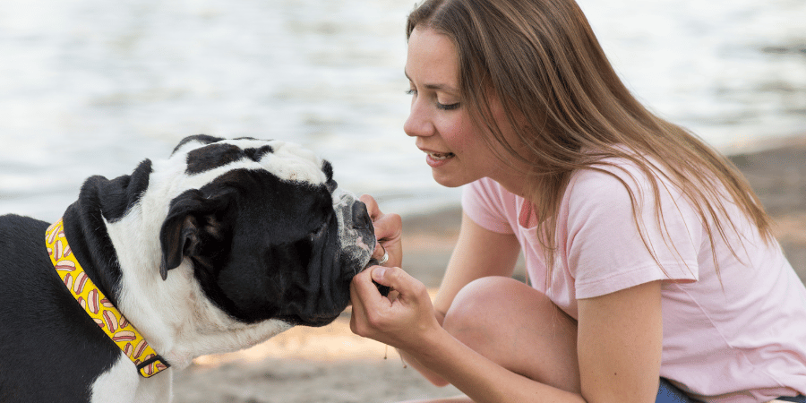 Lean Treats for Large Dogs