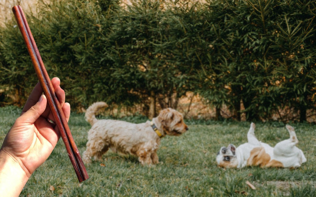 What makes bully sticks odor free? Bully Sticks Central