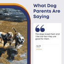 10" Tripe Twist Sticks - Bully Sticks Central