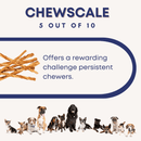 10" Tripe Twist Sticks - Bully Sticks Central