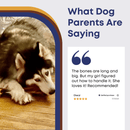 Beef Shin Dog Bone - Bag of 2 - Bully Sticks Central