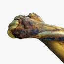 Beef Shin Dog Bone - Bag of 2 - Bully Sticks Central