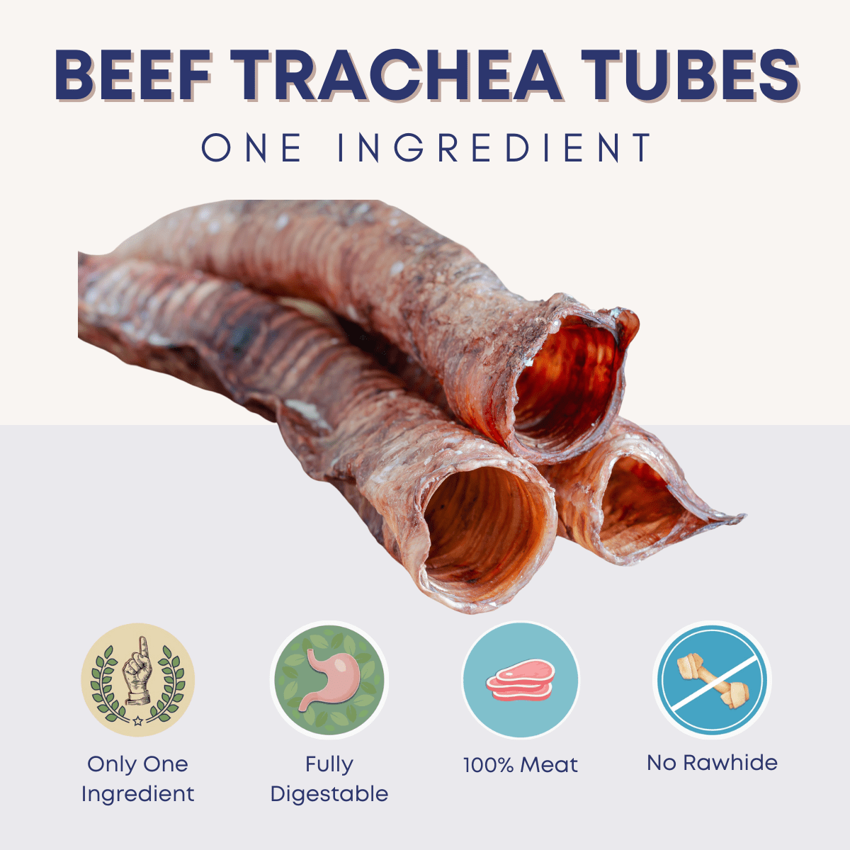 Beef Trachea Tubes 6 in