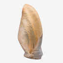 Cow Ears For Dogs - Bully Sticks Central