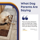 Natural Beef Knee Cap Bones - Bully Sticks Central