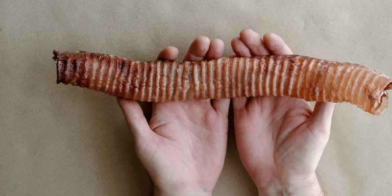 Are dehydrated beef trachea good for dogs? - Bully Sticks Central