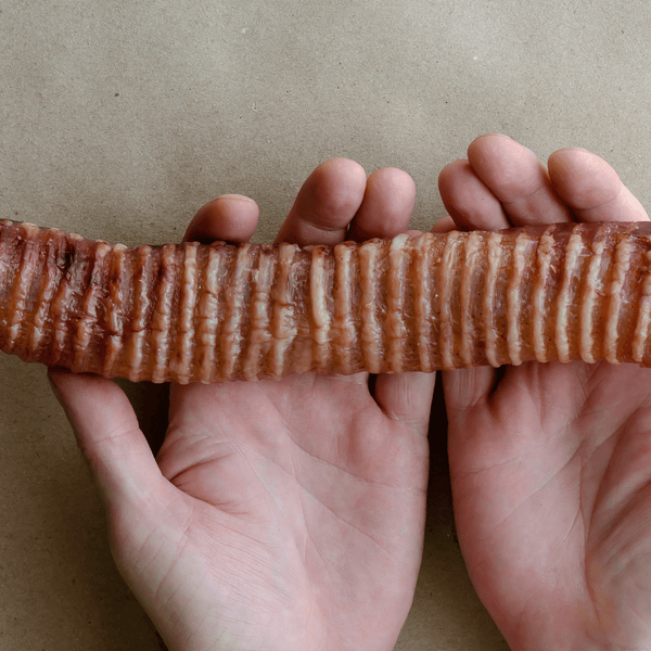 Beef trachea dogs Unraveling the Benefits Why Beef Trachea Tubes are a Must for Your Dog