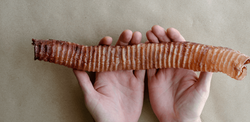 Beef trachea dogs: Unraveling the Benefits: Why Beef Trachea Tubes are a Must for Your Dog - Bully Sticks Central