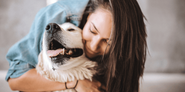 Best Healthy Dog Treats - Bully Sticks Central