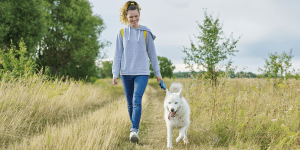 Best Natural Dog Treats for Puppies - Bully Sticks Central