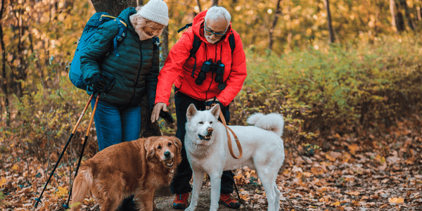 Best Treats for Older Dogs