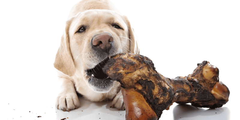 Bone Treat - Bully Sticks Central