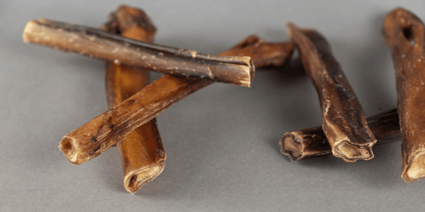 Bully Stick Dog Treat - Bully Sticks Central