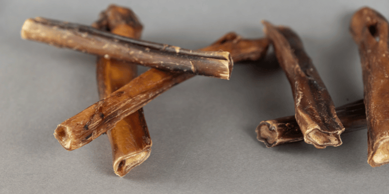 Bully Stick Dog Treat - Bully Sticks Central