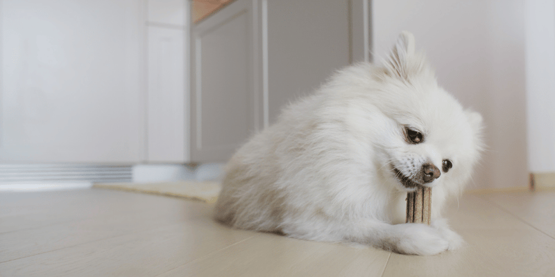 Chew Treats For Puppies - Bully Sticks Central