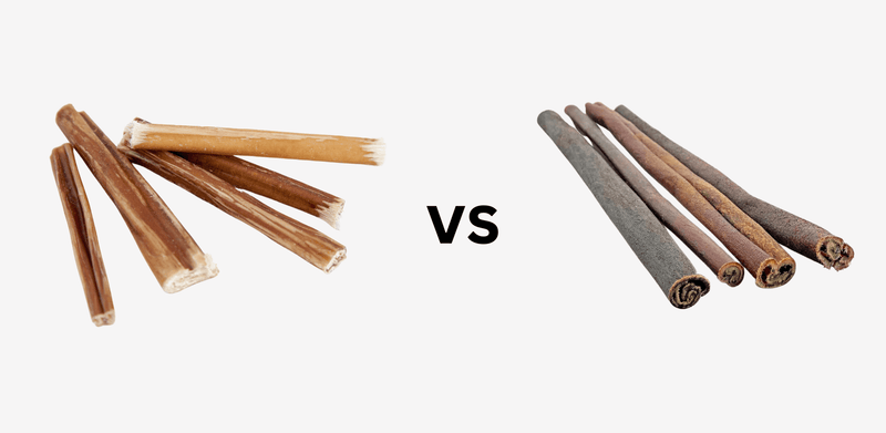 Collagen Sticks vs Bully Sticks: Which Is Best For Your Furry Friend? - Bully Sticks Central