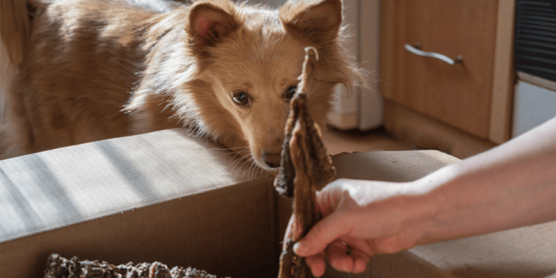 Dehydrated Dog Treats In Oven - Bully Sticks Central