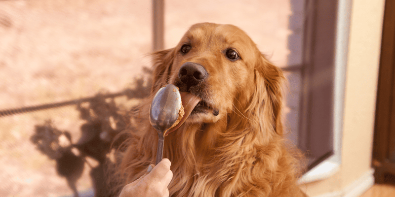 Dehydrated Peanut Butter Dog Treats - Bully Sticks Central