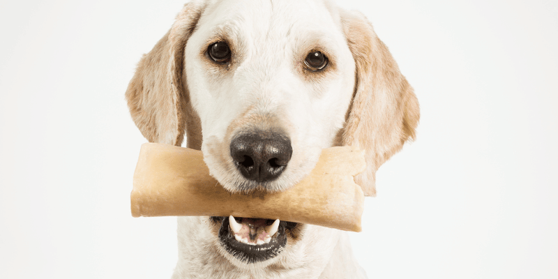 Delectable Treats - Bully Sticks Central