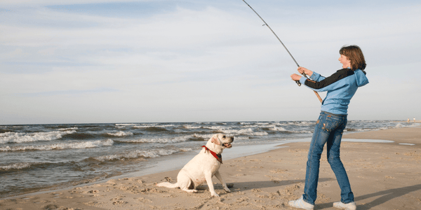 Fish Dog Treats - Bully Sticks Central