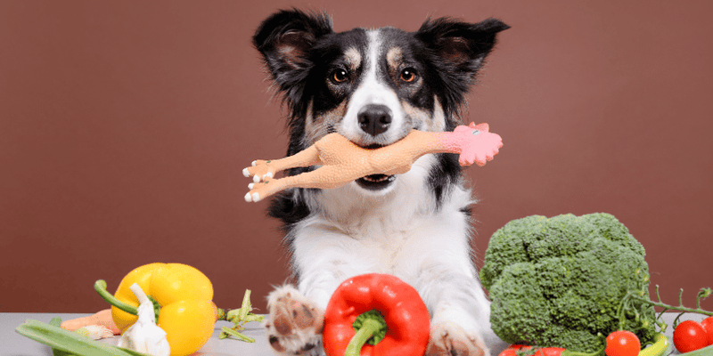 Grain Free Lamb Treats For Dogs - Bully Sticks Central