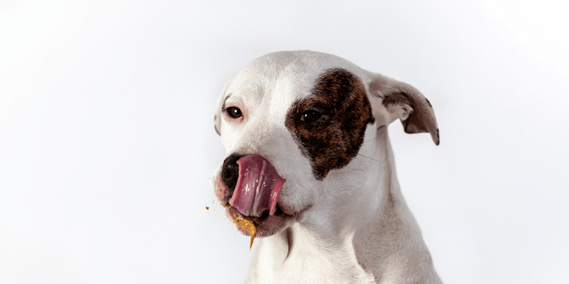 Grain Free Peanut Butter Dog Treats - Bully Sticks Central