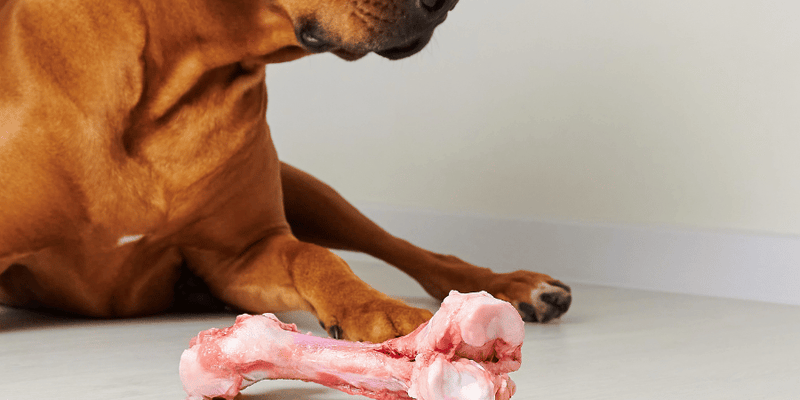 Healthy Dog Bones - Bully Sticks Central