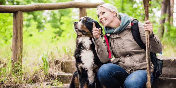 Hiking With Dogs: An Adventure with Paws & Feet - Bully Sticks Central