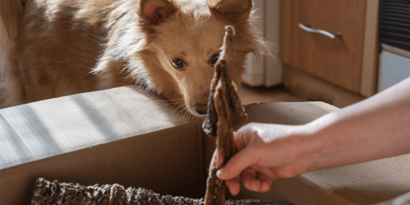 Homemade Dehydrated Dog Treats Recipes - Bully Sticks Central