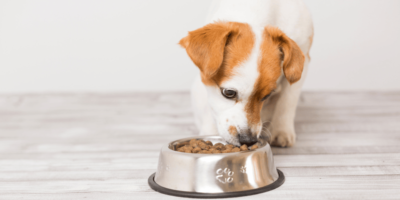 Homemade Dog Treats Grain Free With Bacon And Peanut Butter - Bully Sticks Central