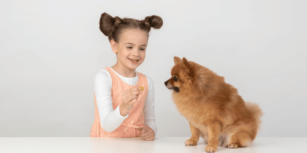 How Are Dog Treats Made - Bully Sticks Central