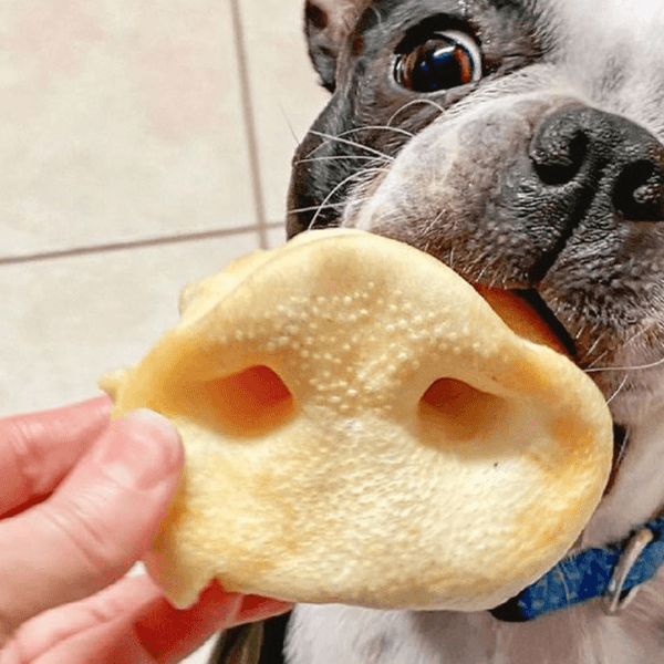 How often should I give my dog a bully stick