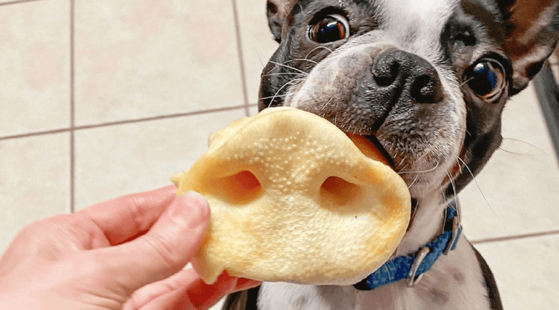 Beef pizzle 2024 safe for dogs