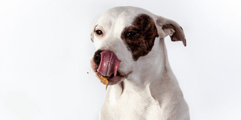 How To Make Peanut Butter And Sweet Potato Dog Treats - Bully Sticks Central