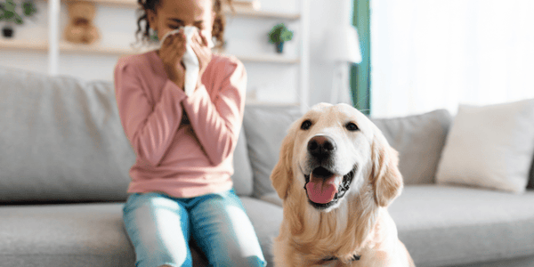 How to Treat Dog Allergies - Bully Sticks Central
