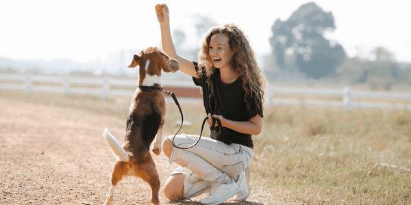 List of Safe Dog Treats - Bully Sticks Central