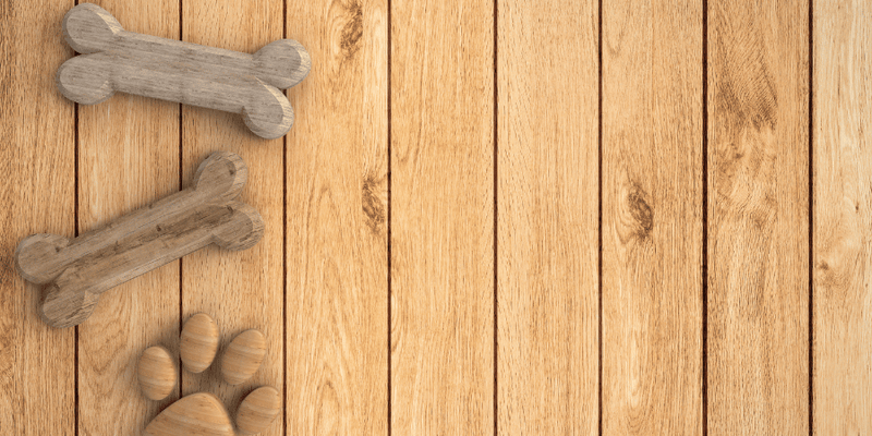 Long Lasting Bones For Dogs