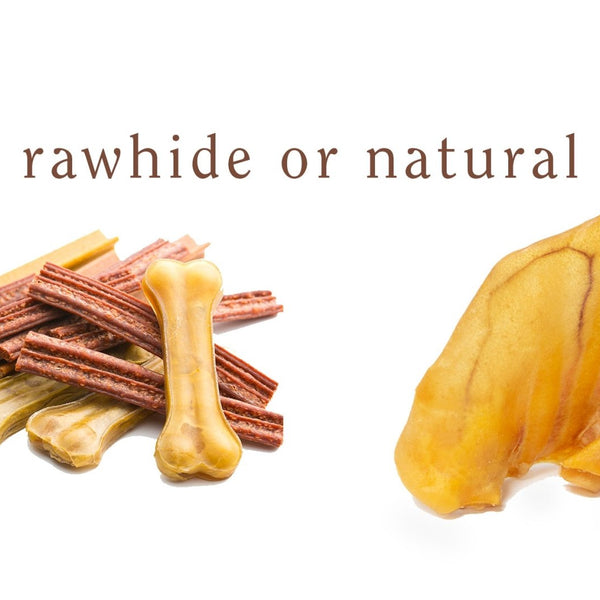 Should Puppies Eat Rawhide should-puppies-eat-rawhide