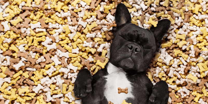 Flour for dog treats online