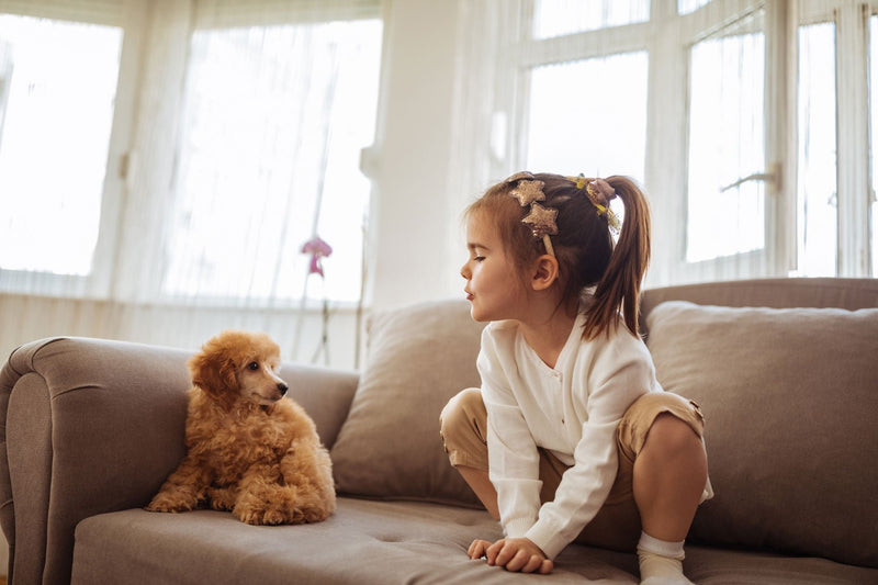 Strategies for Introducing Your Child to their First Pet - Bully Sticks Central