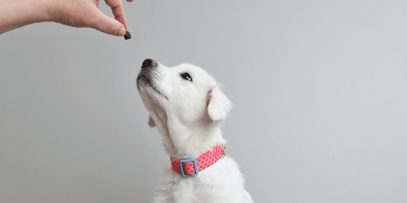 Sweet Potato Treats For Dogs - Bully Sticks Central