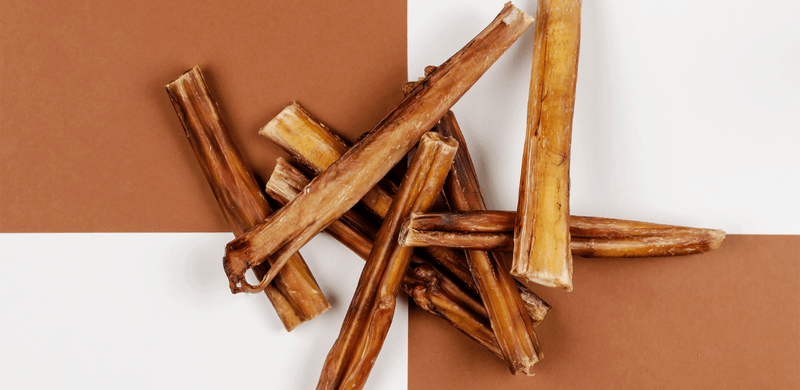 Dog bully sticks what are they made of best sale