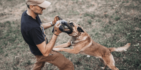 The Ultimate Guide: How to Stop a Puppy from Biting and Enjoy a Bite-free Bonding - Bully Sticks Central