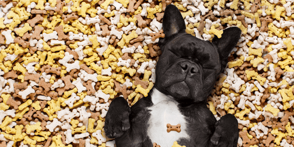 Top Healthy Dog Treats - Bully Sticks Central