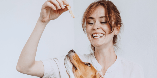 Training Treats for Dogs - Bully Sticks Central