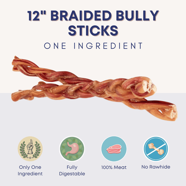 12" Braided Bully Sticks - Bully Sticks Central